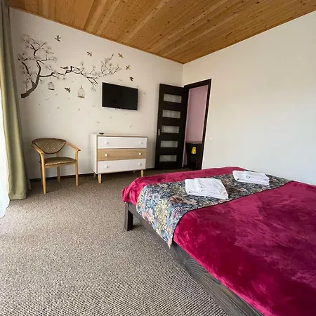 рутенія Hotel Skhidnytsia