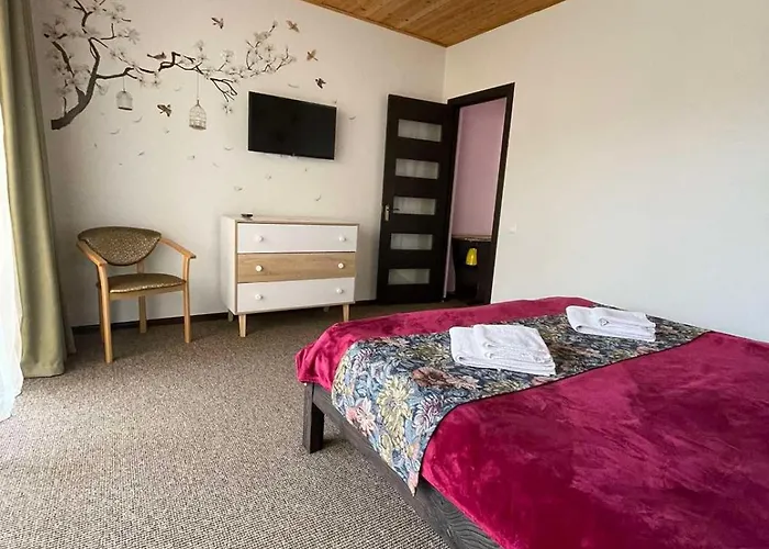 рутенія Hotel Skhidnytsia