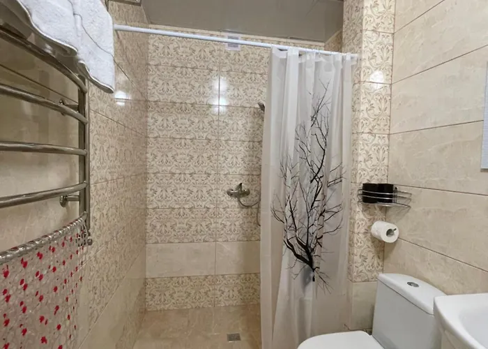 рутенія Hotel Skhidnytsia