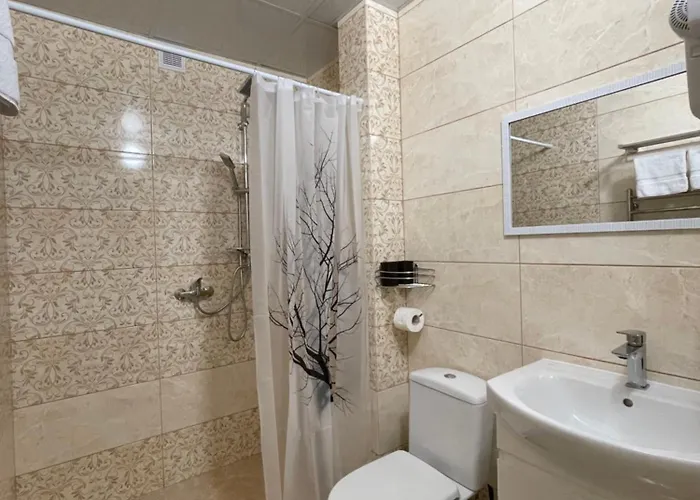 рутенія Hotel Skhidnytsia